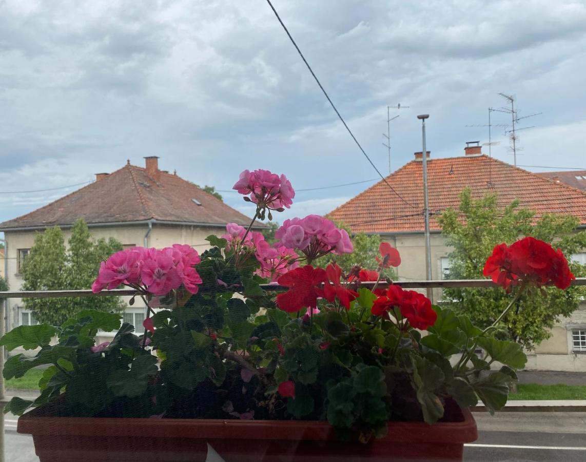 Apartman Cvjetnjak Čakovec Exterior foto
